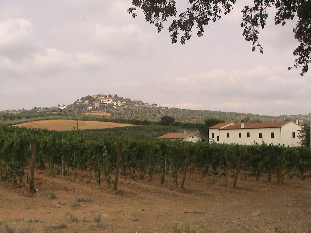 Agriturismo Vigna Mai マリアーノ・イン・トスカーナ エクステリア 写真